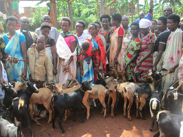 World Help Gifts Goats
