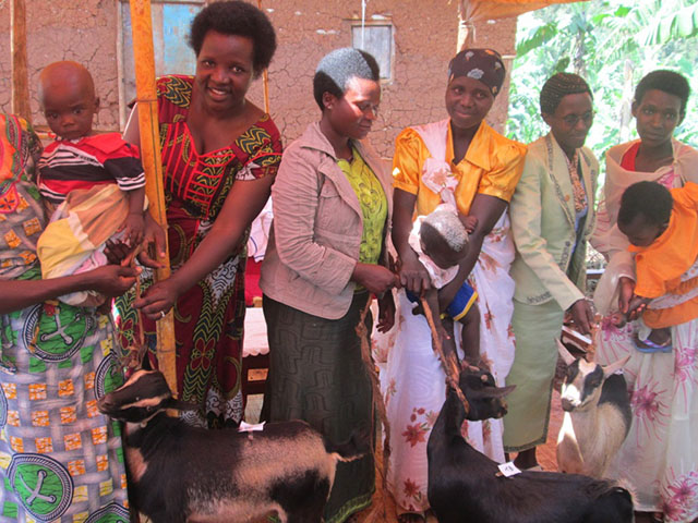 World Help Rwanda Goats