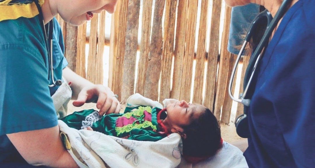 Rescue Programs project report | Spring 2017