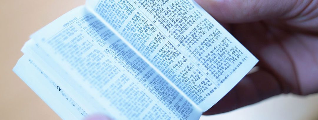 Church Planting project report | 2017