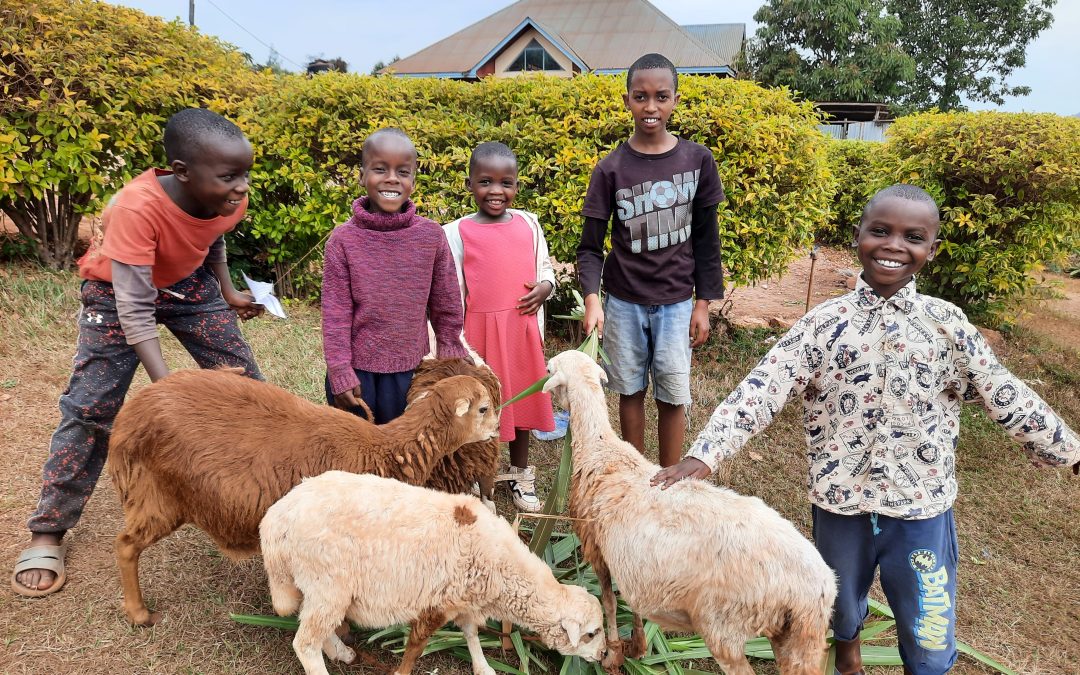 Livestock Bundle Share