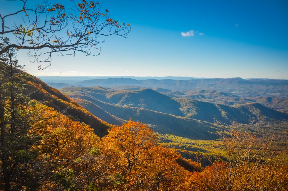 Lynchburg GIS Fall 2021 World Help