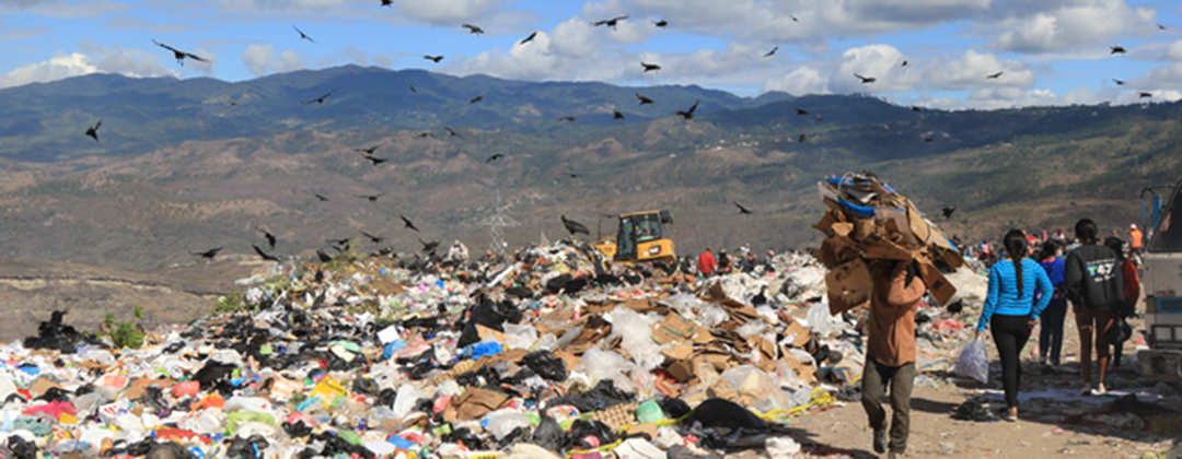 From the Field: See the trash dump where Daisy used to work