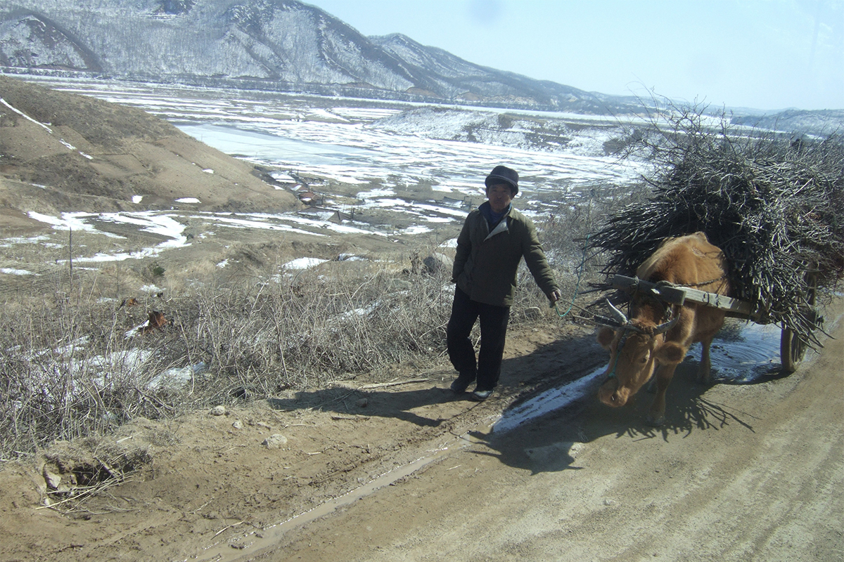 Help North Korean Christians who need food and God's Word!